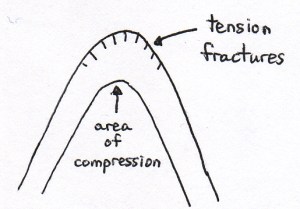 Snelling has a similar diagram in his article with the caption, "When solid, hard rock is bent (or folded) it invariably fractures and breaks because it is brittle. Rock will bend only if it is still soft and pliable, like modeling clay. If clay is allowed to dry out, it is no longer pliable but hard and brittle, so any attempt to bend it will cause it to break and shatter."