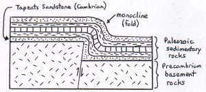 Basic diagram showing folded sedimentary rocks draped over a basement fault.