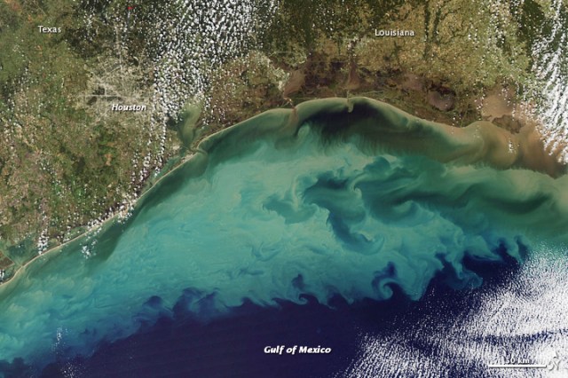 Sediment in the Gulf of Mexico --- http://earthobservatory.nasa.gov/IOTD/view.php?id=41237